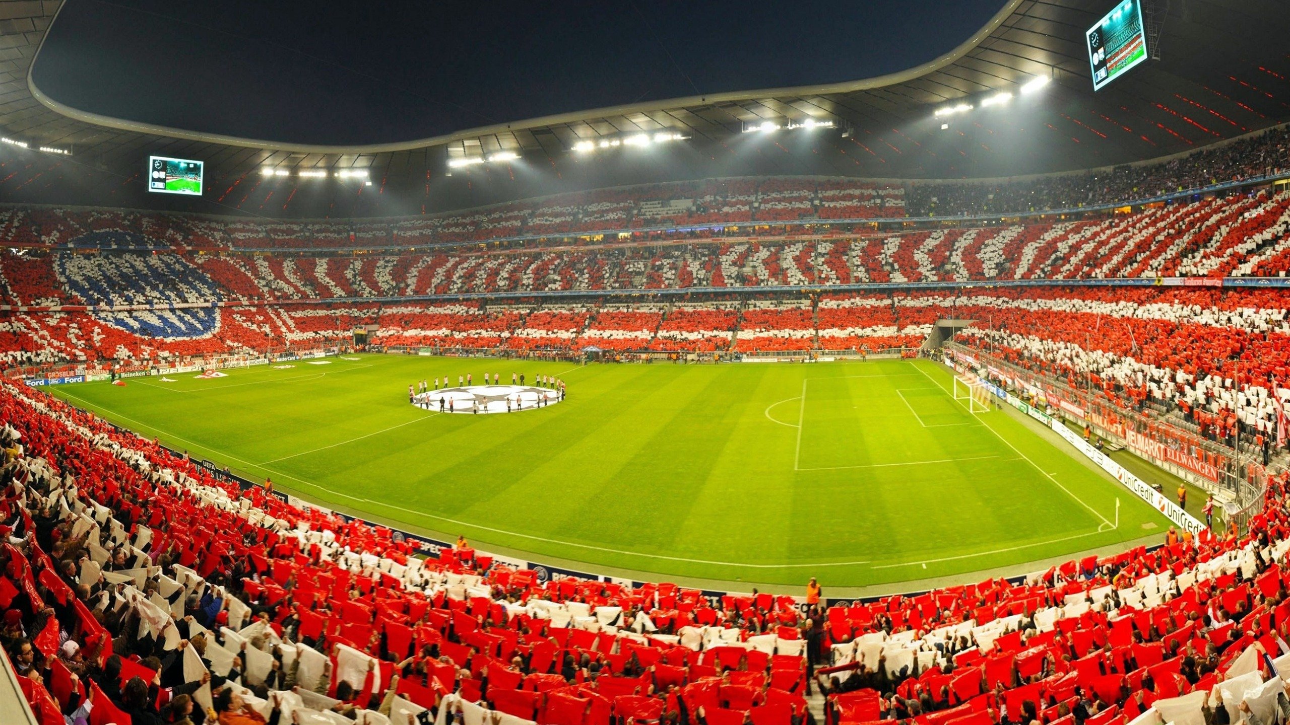 “萨尔·巴赫:南非橄榄球未来的领军人物”